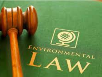 Environment Lawyer